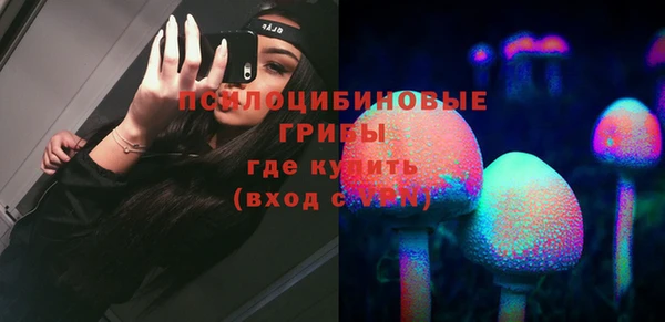 Альфа ПВП Арсеньев