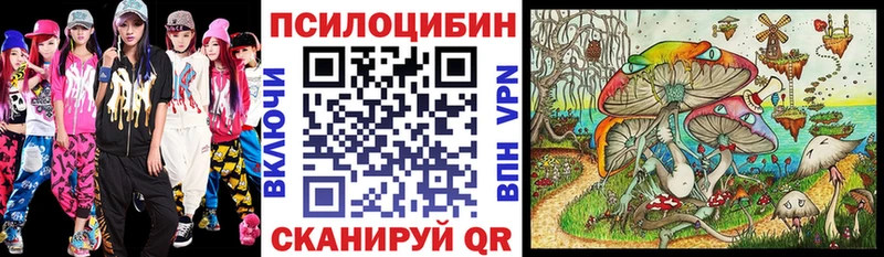 купить   Рошаль  Галлюциногенные грибы мицелий 
