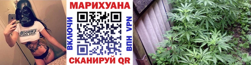 Шишки марихуана SATIVA & INDICA Рошаль